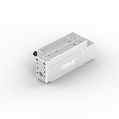 RobustMotion RM-RPLA Actuador Elétrico Industrial Linear com Controlador Integrado, Força Máxima de Saída 300N