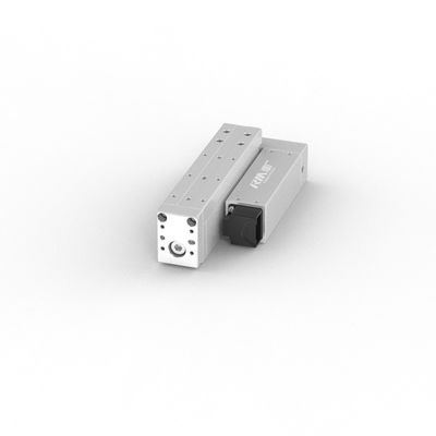 RobustMotion Industrial High Spped Linear Actuator Alta precisão ± 0,02 mm para empurrar e puxar