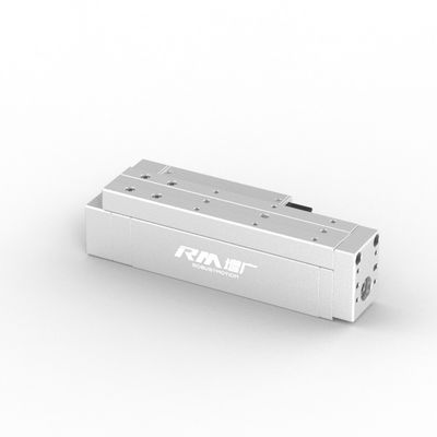 RobustMotion Single Axis Electric Linear Cylinder, RM-RPLA de longo curso, alta velocidade e alta precisão
